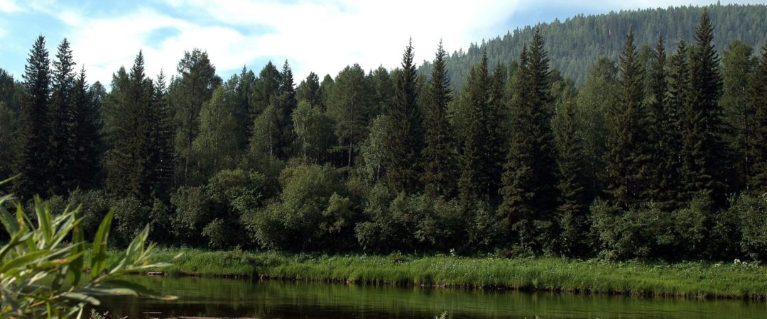 Родина моя-Россия.